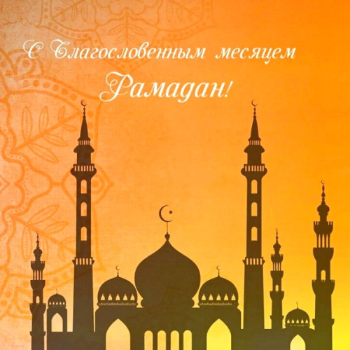 55f488f94d95780b191d575c6eee1a21